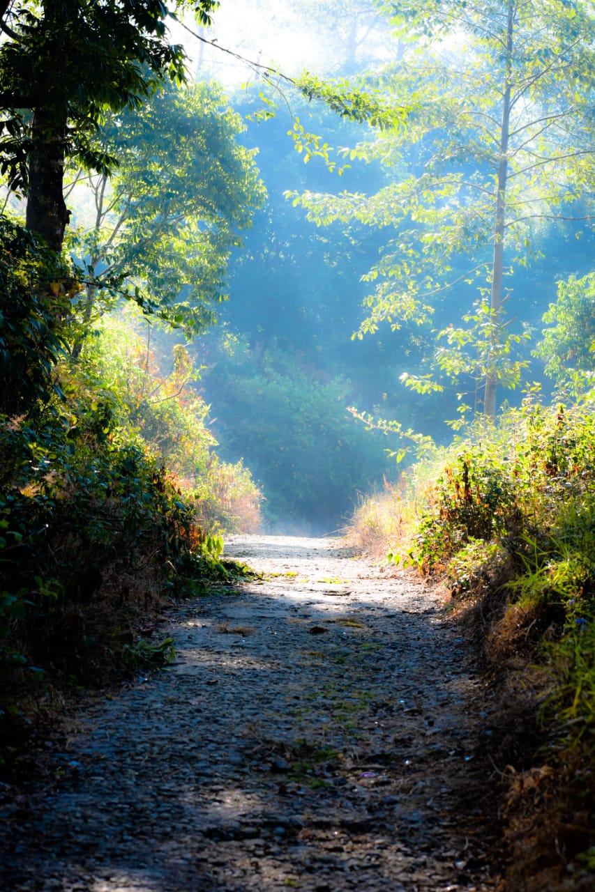 Melo-Tea Fest stage performance